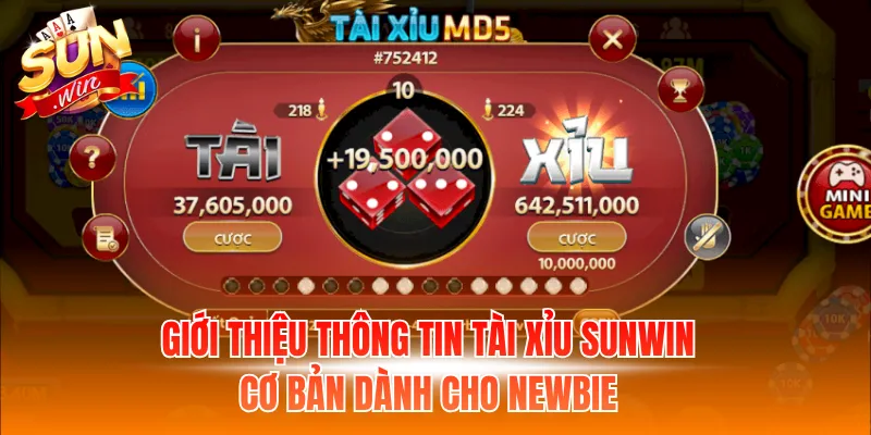 Giới thiệu thông tin Tài Xỉu Sunwin cơ bản dành cho Newbie
